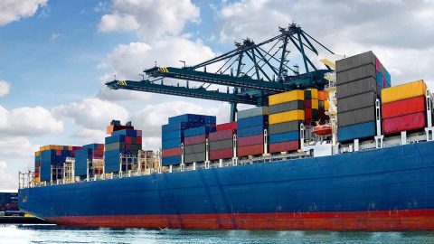 Import procedures